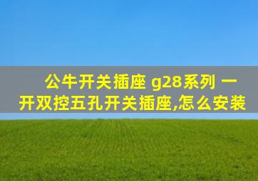 公牛开关插座 g28系列 一开双控五孔开关插座,怎么安装